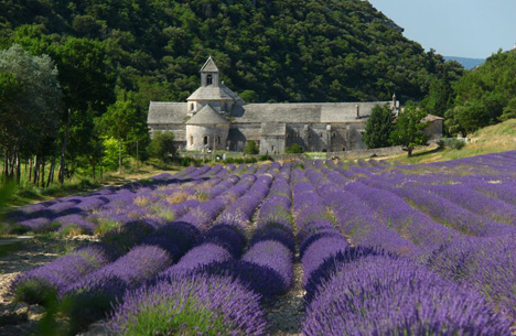 Snanque abbey