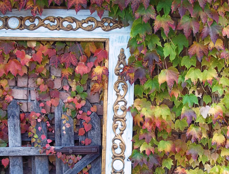 Autunno