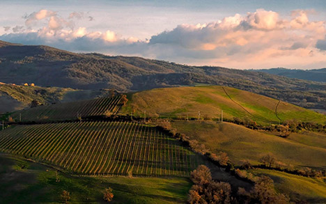 Corsi falegnameria Firenze - Campagna circostante